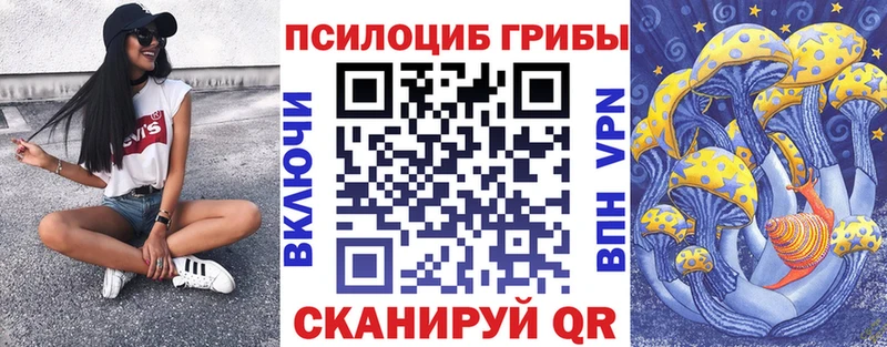 Псилоцибиновые грибы Psilocybe  darknet наркотические препараты  Новосиль 